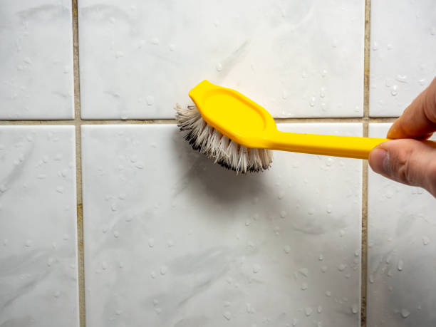 Best Residential Mold Remediation in Cave Springs, AR