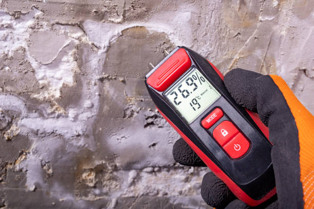 Best Commercial Mold Remediation in Cave Springs, AR