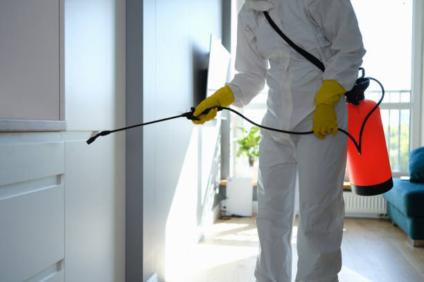 Best HVAC Mold Remediation in Cave Springs, AR